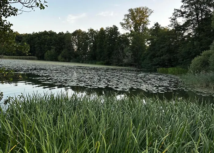 Appartement Vip Promenada Mrągowo